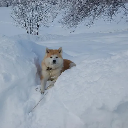 Aparthotel Foyer D'antan